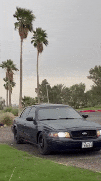 Ford John GIF