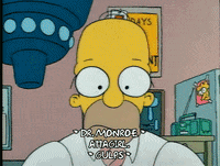 Season 1 Episode 13 GIF by The Simpsons