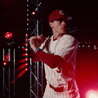 South Carolina Celebration GIF by Gamecock Athletics