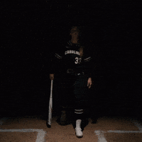 South Carolina Celebration GIF by Gamecock Athletics