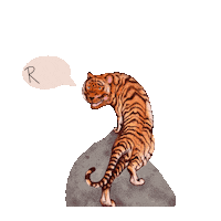 Nattiethreads illustration animal tiger nattiethreads Sticker