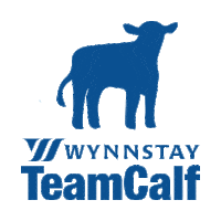 wynnstayagriculture calf wynnstay wynnstay calf Sticker