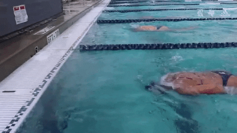Rice University Swimming GIF by Rice Owls