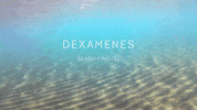 beach swimming GIF