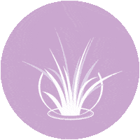 airplantshop link in bio linkinbio airplant tillandsia Sticker