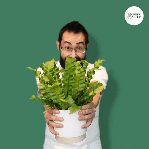 GreenMeUp  GIF