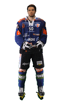 Ice Hockey Sport Sticker by Rittner Buam