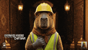 Focus Safety GIF