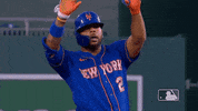Ny Mets Wave GIF by New York Mets