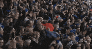 rangersfc GIF by Rangers Football Club