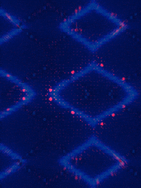 Party Love GIF by Orla in Berlin