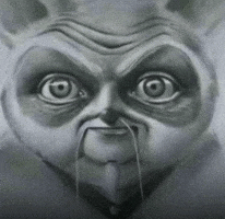 Kung Fu Stare GIF