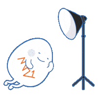 Wink Model Sticker by M21.hk