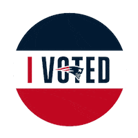 Voting Election 2020 Sticker by New England Patriots