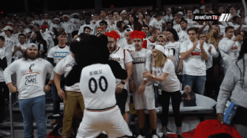 excited cincinnati bearcats GIF by University of Cincinnati Athletics
