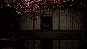 Horror Approaching GIF by Wired Productions