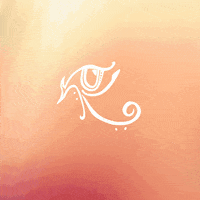 consciouselectronic dance rave edm electronic GIF