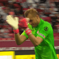 Football Goalkeeper GIF by FC Spartak Moscow