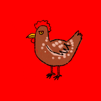 Illustration Chicken GIF