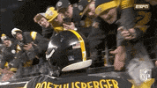 Pittsburgh Steelers Football GIF by NFL
