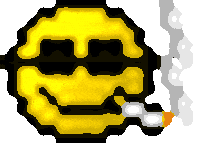 page raiders STICKER