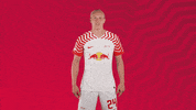 Läuft Come On GIF by RB Leipzig