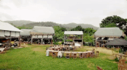 viceland GIF by JUNGLETOWN