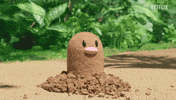 Pop Up Hello GIF by Pokémon