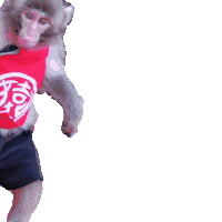 Fun Monkey Sticker