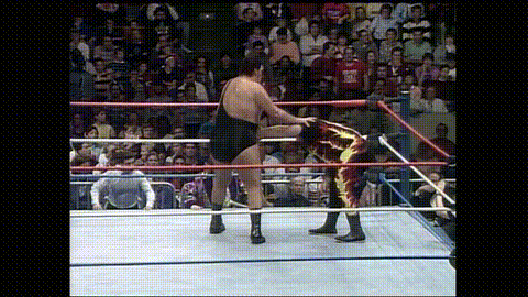 Integralist giphyupload wwf survivor series 1987 GIF