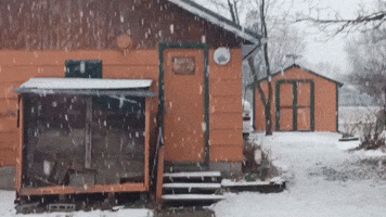 April Snow Falls in Brookings, South Dakota