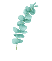 Eucalyptus Flowerlover Sticker by kochanow
