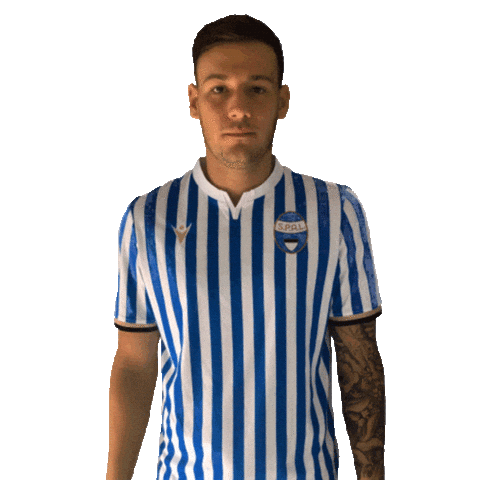 Serie A Football Sticker by SPAL