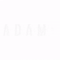 Vikthorofficial dj techno tomorrowland adamk GIF