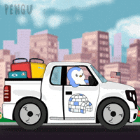Driving Rhode Island GIF by Pudgy Penguins