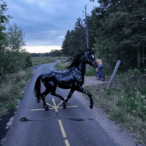 Bg Veo GIF by Aleksey Efremov