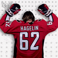 Washington Capitals Hockey GIF by Capitals