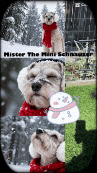 I Love You Dog GIF