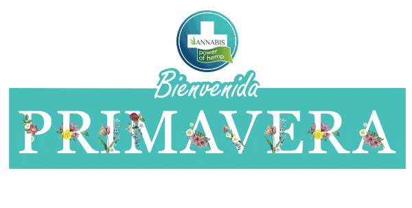 Sol Flores Sticker by Annabis Chile