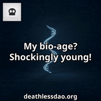 Humor Glow GIF by deathlessdao