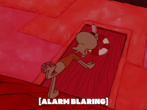 season 5 GIF by SpongeBob SquarePants