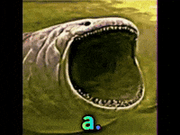 Fish Aa GIF