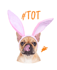 dotsure tot tongueouttuesday dotsure dotsurepetsa Sticker