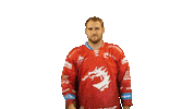 Ice Hockey Sticker Sticker by HC Oceláři Třinec