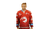 Ice Hockey Sticker Sticker by HC Oceláři Třinec