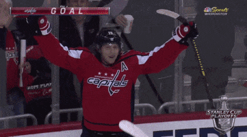 happy ice hockey GIF by NHL