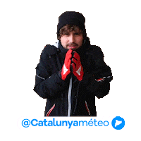 Sol Fred Sticker by catalunyadiari