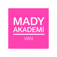 Van Madydans Sticker by Mady