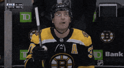 Ice Hockey Hello GIF by NHL