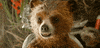 orange GIF by Paddington Bear